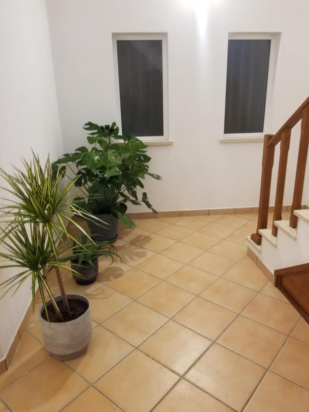Le Parisien 1 Apartman Serra d'El-Rei Kültér fotó